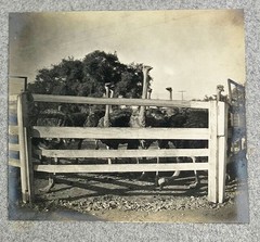 Western Americana / Vernacular Photo Album Minnesota to Canada ca. 1890s VG+