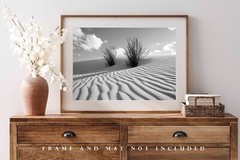 White Sands Photography Print: New Mexico Black & White Yucca Plant Desert Photo