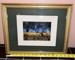 Daniele Piasecki Signed ‘Gold Burst’ Framed Landscape Photograph 16×12