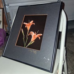 Cibachrome ART PRINT Signed & Framed Print Tony Festa RARE