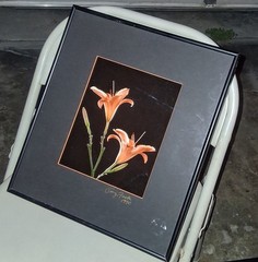 Cibachrome ART PRINT Signed & Framed Print Tony Festa RARE