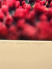 Original Signed Gregory Lawler, Framed Limited Edition- «Field of Dreams»
