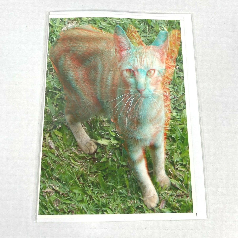 Orange Kitty Cat Hotel 3-D 3D Photograph Art Phantom Image Barry Rothstein New