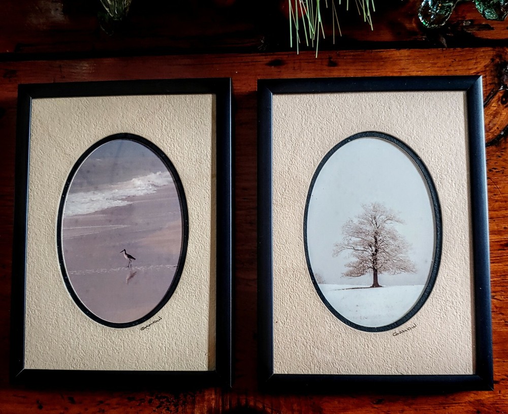 Pair Vintage Framed BARRY GAMOW NATURE PHOTOGRAPHS Signed and Double Matted NEW