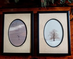 Pair Vintage Framed BARRY GAMOW NATURE PHOTOGRAPHS Signed and Double Matted NEW
