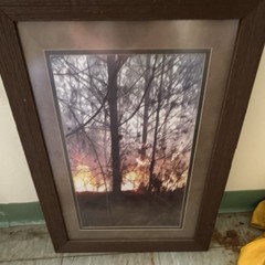 Lot of 3 Matted & Framed Color Wildfire Smoke Forest Photo Wall Art, Portrait