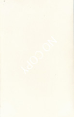 Photo art nude photo woman nude women art circa 1960. Unique X182