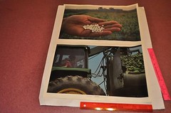 The Search for Food — Portfolio of 16 color photographs for Heinz | Jay Maisel