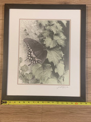 Signed Sepia Butterfly Nature Photograph – Close-Up Botanical Art Print