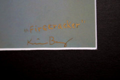 Firecracker Dragonfly Photo 8″ x 10″ in 11″ x 14″ Matte Signed by Kim Barry