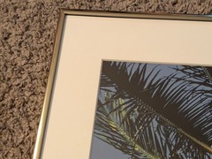 Vintage 1994 Robin L White Signed Palm Tree Tropical 23½»x10⅞»Framed Photo
