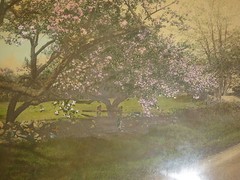 WALLACE NUTTING HAND COLORED «MANY HAPPY RETURNS» SIGNED FRAMED 19″ X 16″