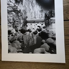 Robert Werling Signed Yosemite El Capitan Original Photo Print Mounted 20×24