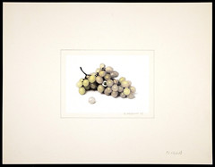 SERGIO VALLE DUARTE, «Olhuva» Signed Digital Print, Brazilian Photographer, 1982