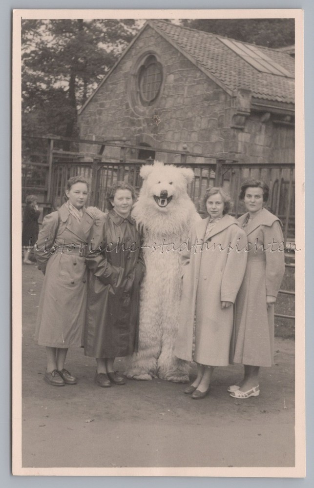 4 Women with Polar Bear – Vintage Photo