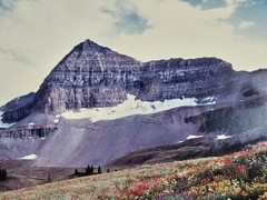 Signed Limited Edition Aaron Goldenberg 35mm Art Photograph, Utah 39×24 Framed