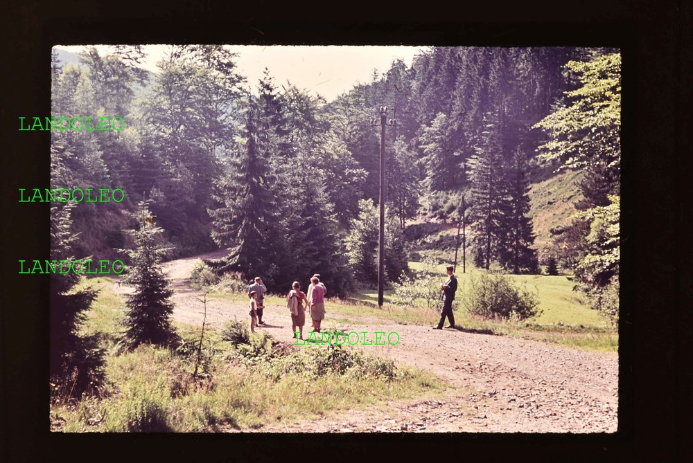 Slide 1962 Sigmundsburg am Saargrund Forest Trail Scene Hiking