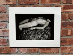 New Zealand Photographer Peter Peryer Gelatin Silver Photo Print Anne Noble 1979
