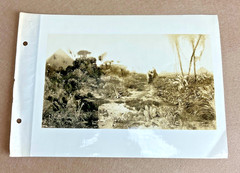 Thomas Moran “Flight Into Egypt” 1925 Authentication Photograph Signed/Typed