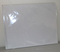 Deer Wildlife Photo 8″ x 10″ in 11″ x 14″ White Matte Signed by Kim Barry