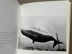 🎈SIGNED! Daido Moriyama – PHAIDON COLLECTION 55, First Limited Ed 2001 MegaRARE