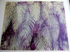 Signed Weston Photo Gelatin Silver 19 1/2″x15 3/4″ 1976
