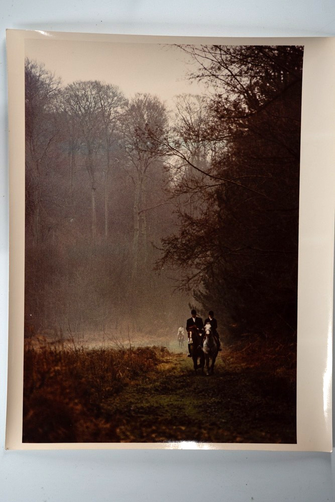 Vintage Analog Photo France Hunting Foxhunting Horse 24X30Cm 1970