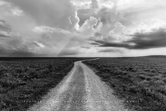 Country Photography Print – Black and White Photo of Road in Flint Hills Kansas