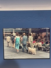 Lot Of 40 Vintage Fashion Holland Amsterdam Vacation 35mm Color Slides ct57