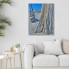 Driftwood, Florida Beach, Abstract Nature Fine Art Photo on Metal, Canvas, Paper
