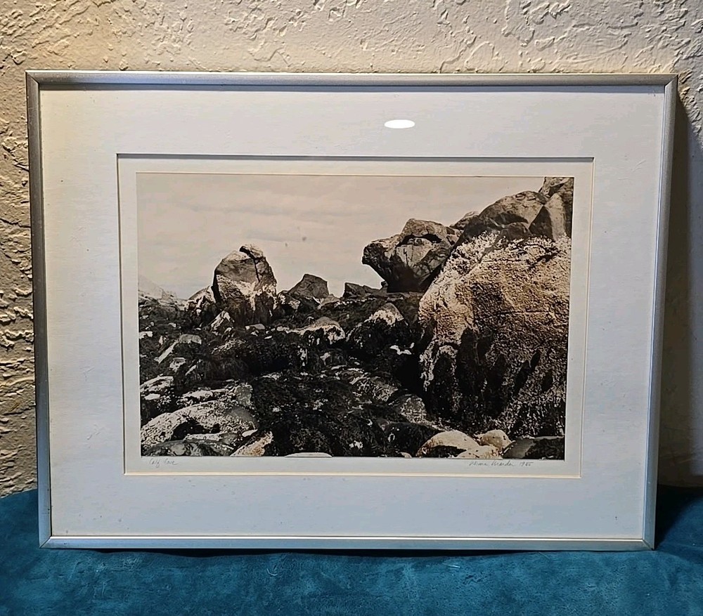 Calf Cove By Norma Warden Framed Photograph Signed Dated Vintage 1985