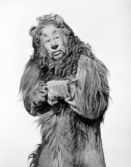 Wizard Of Oz Cowardly Lion Bert Lahr Photo 8.5×11