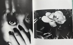 🎈Mega RARE! Daido Moriyama Lettre A St. Lou, BEST Book, 1990, First Ed