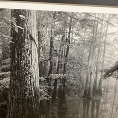 Blair Pittman: «Old River» – Original Gelatin Silver Print Photograph