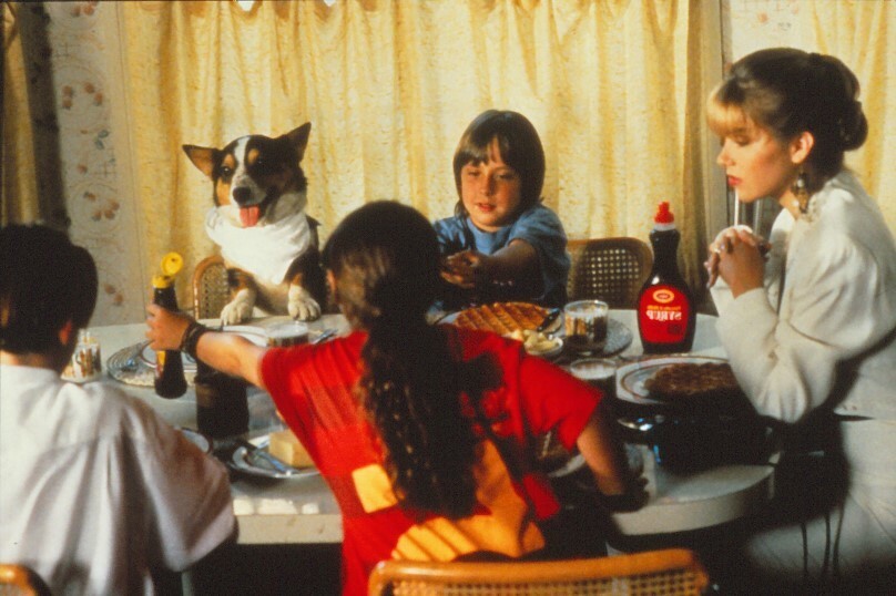 Film slide fast food family Christina Applegate slide KB format L23-9-3-1