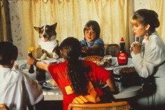 Film slide fast food family Christina Applegate slide KB format L23-9-3-1