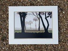 Trees In The Fog Photography Morris Weinberger Signed 1/5