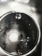Black And White Silver Gelatin Prints 2001 34x16in Framed Diptych Untitled