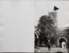 Evelyn Richter Wartburg Dove Child Silver Gelatin Print 1968 Signed New Year