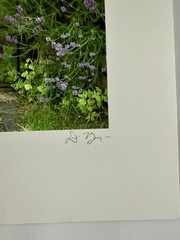 Dennis Barloga Photography Print, «Lavender Cottage” England signed 14 x 11”