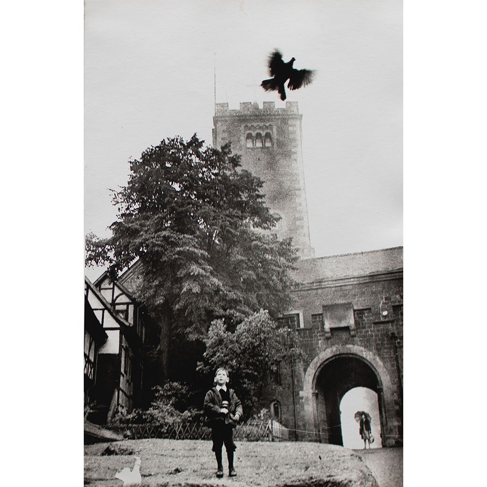 Evelyn Richter Wartburg Dove Child Silver Gelatin Print 1968 Signed New Year