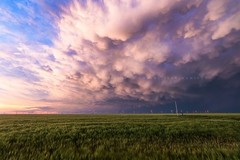 Stormy Sky Photography Print: Texas Storm Clouds Wheat Field Thunderstorm Photo