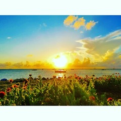 KEY WEST Sunset Flowers 11×14 Matted Art Photo Photograph Paradise Tropical Boat