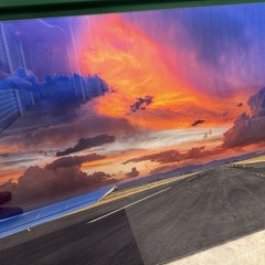 Peter Lik «Velocity» Airplane Aviation HUGE 6.5 Feet (2M) Picture with COA