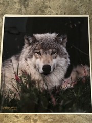 Johnny Johnson «Soul of Silence»UNFRAMED 808/950 limited edition SOLD OUT print 
