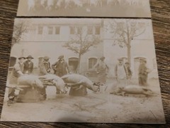 Saint Saturnin le Barry Aveyron Pig Fair Antique Photos Original Print Sepia