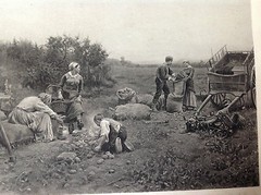 Ridgway Knight «In October» Photogravure Goupil & Co D. Appleton & Co NY
