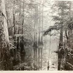 Blair Pittman: «Old River» – Original Gelatin Silver Print Photograph