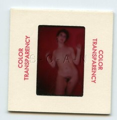 Original Camera Club Nude 1960s 35mm Slide / Negative- Endowed Woman- Brunette 8