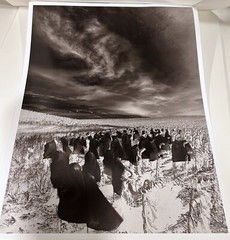 DODO JIN MING 20th-21st c. Chinese ORIGINAL PHOTOGRAPH Behind My Eyes